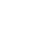 Dumon partners